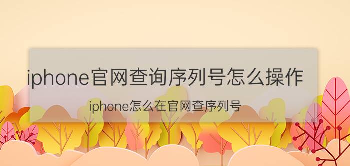 iphone官网查询序列号怎么操作 iphone怎么在官网查序列号？